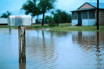 flood