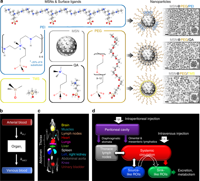 brinker paper figure 1 image