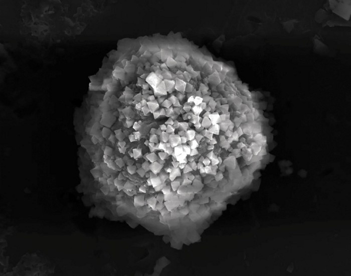 supra cell image