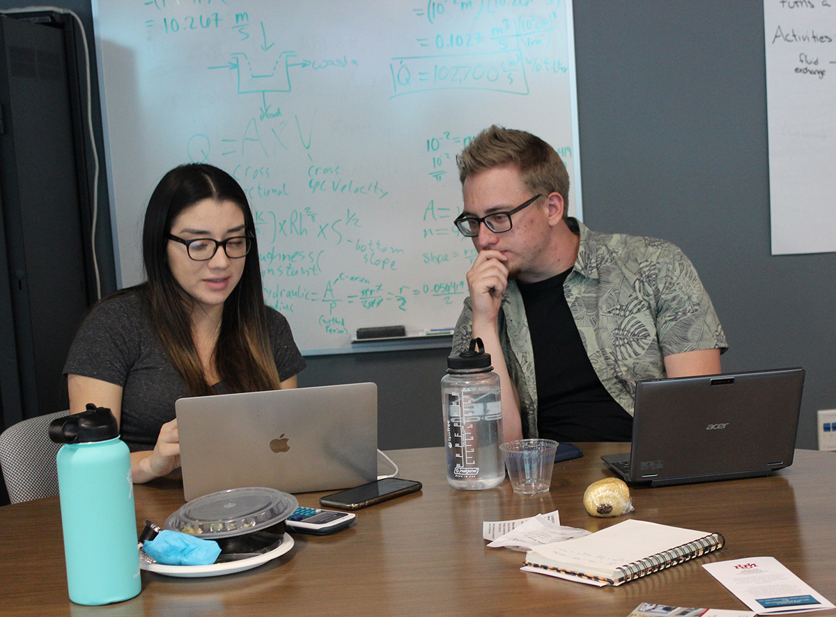 photo: a woman and man looking at research on a laptop.